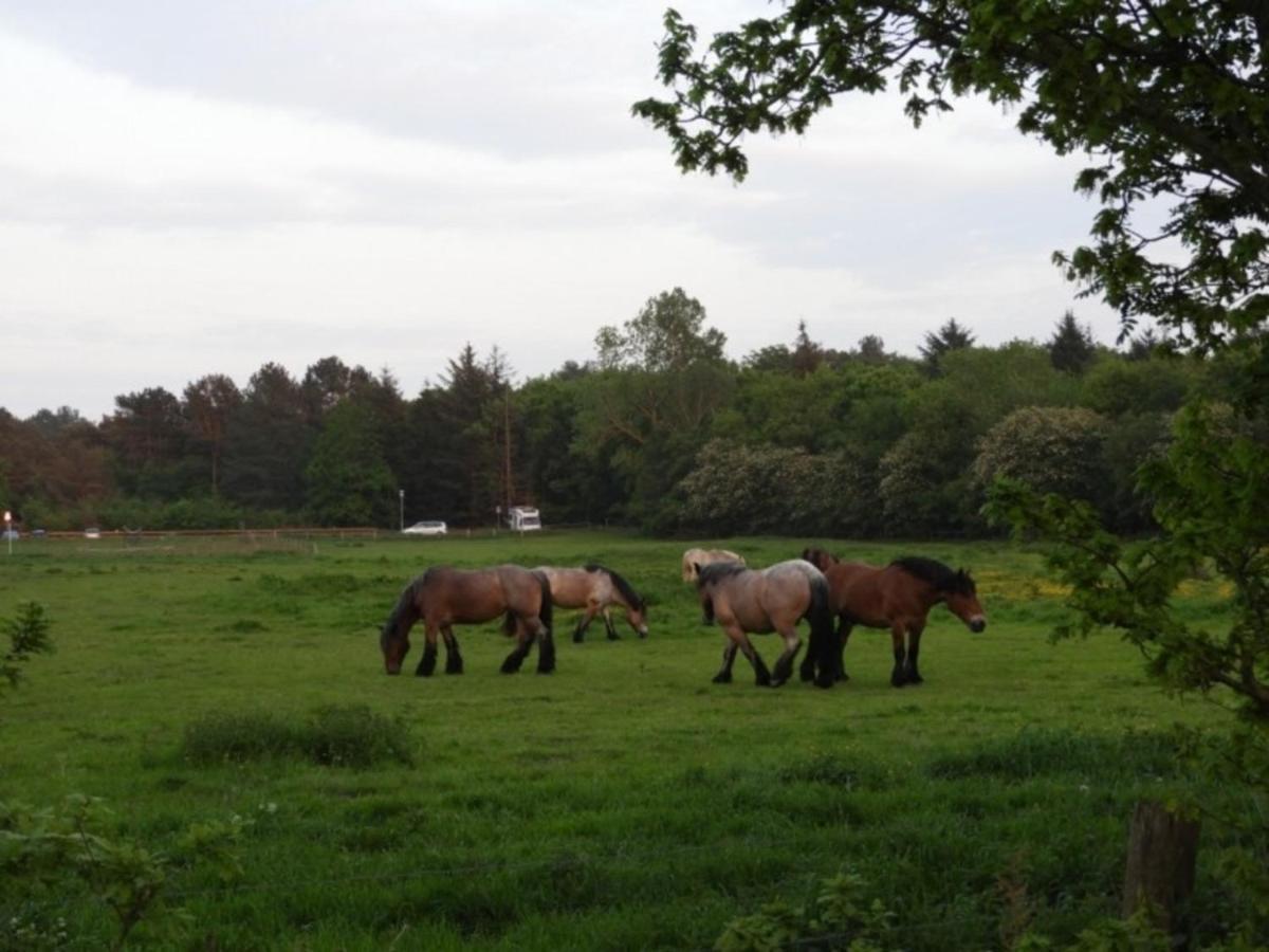 Quartier Hohe Geest 15 - Nordseebrise *